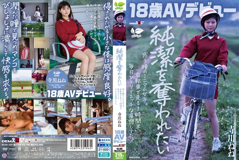 SDAB-340-네네 테라카와