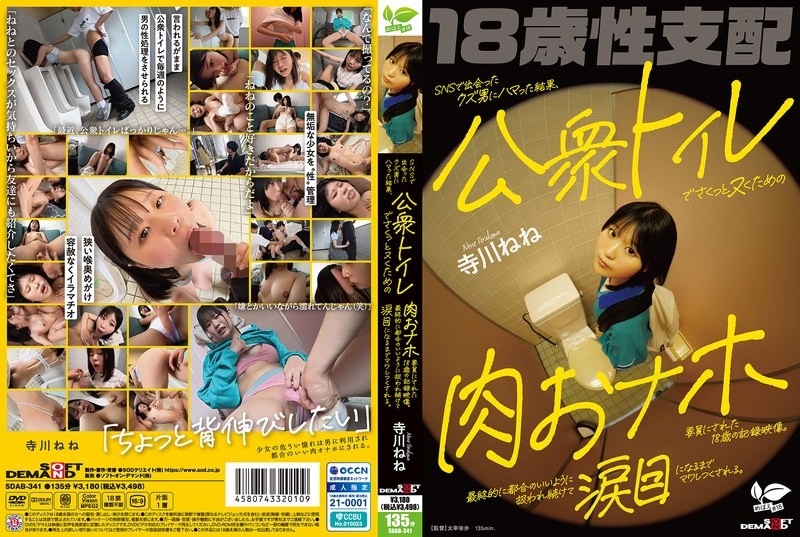SDAB-341-테라카와 네네