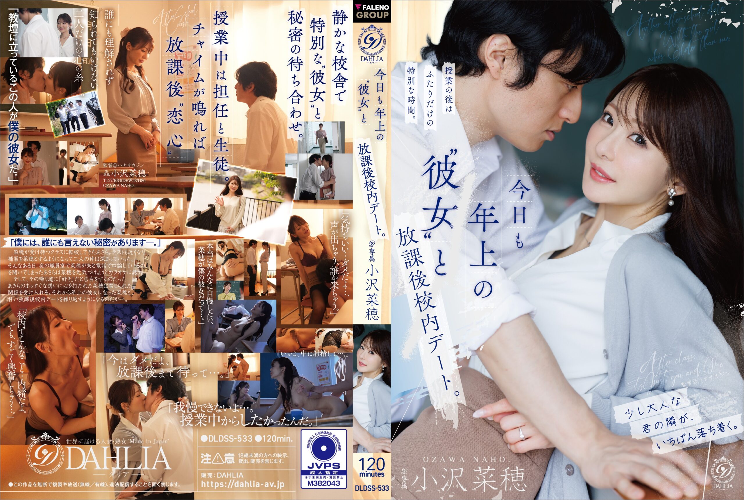 DLDSS-533-오자와 나호